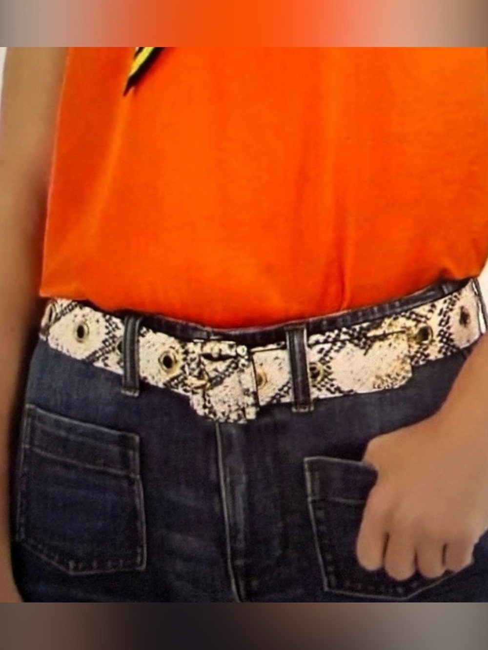 Cabi Slither Belt Animal Print & Black Belt Size M